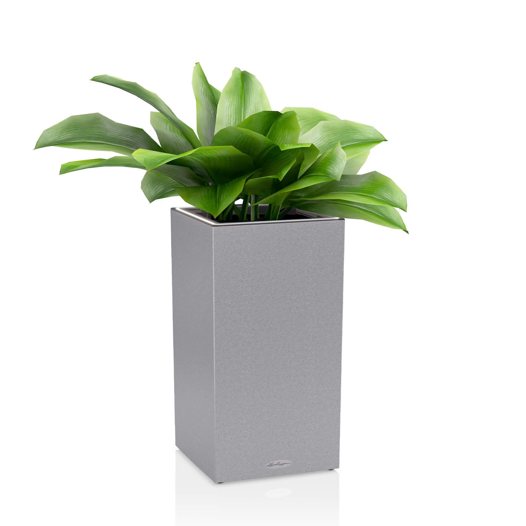 CANTO Stone 30 high LED stone grey